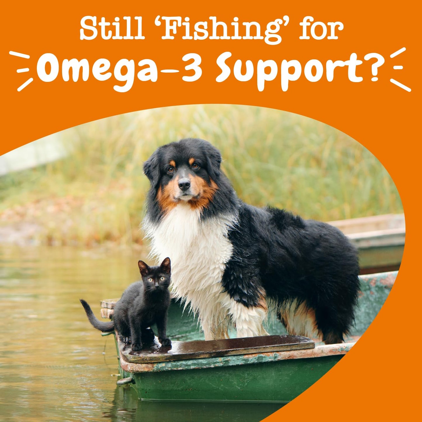 Zesty Paws Wild Alaskan Omega-3 Blend Pollock + Salmon Oil for Dogs and Cats- Skin and Coat Support, Omega 3 Supplement for Pets, 16oz