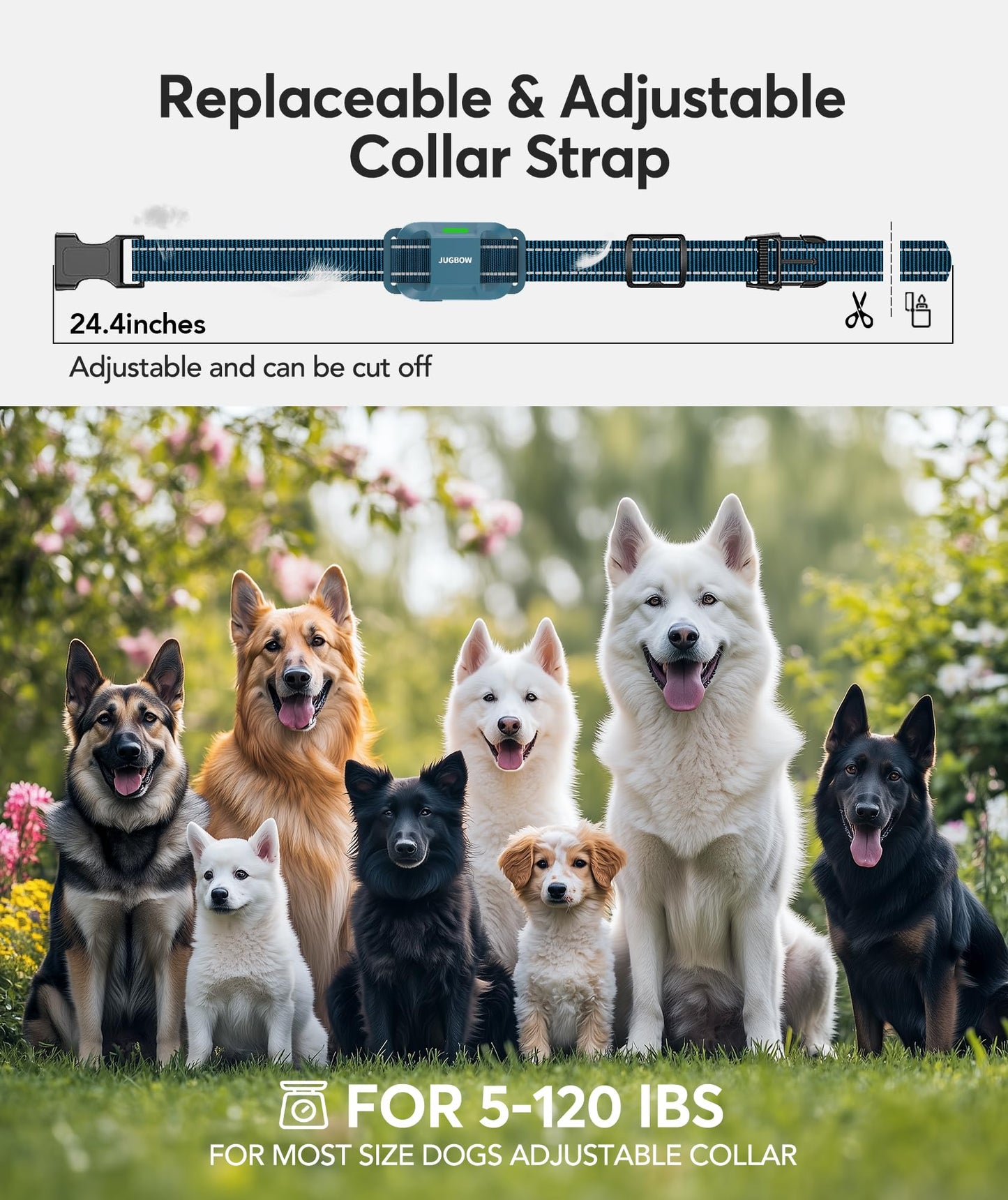 Jugbow Dog Training Collar for 3 Dogs- 4200FT Training Collars with Remote for 5-120 lb Large Medium Small Dogs, Rechargeable Waterproof IPX8 E Collars for Dogs