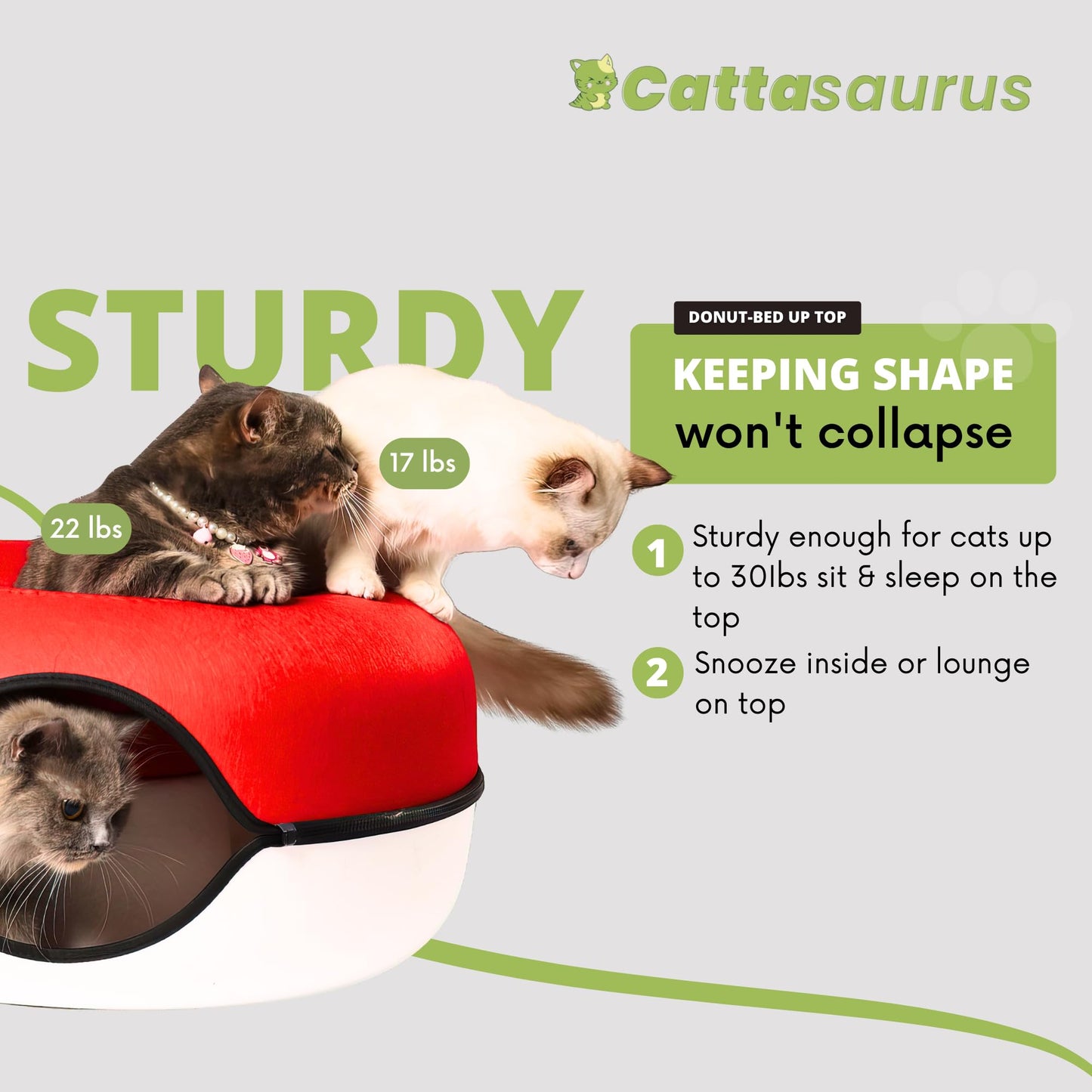 CATTASAURUS Peekaboo Cat Cave for Multiple & Large Cats Up to 30-45 Lbs, Scratch Detachable & Washable Tunnel Bed, Comfy Donut Cat Cave (Light Gray, Large)