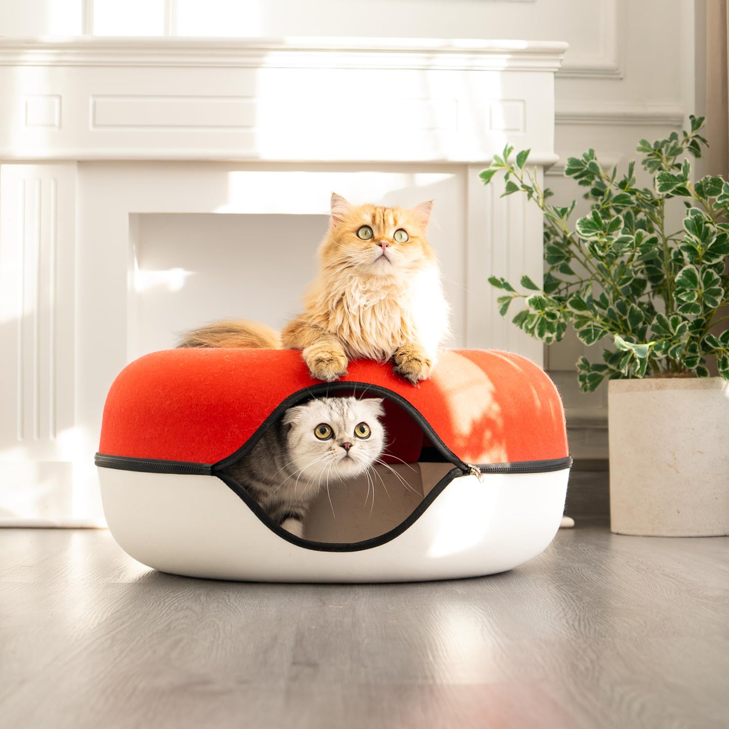 CATTASAURUS Peekaboo Cat Cave for Multiple & Large Cats Up to 30-45 Lbs, Scratch Detachable & Washable Tunnel Bed, Comfy Donut Cat Cave (Light Gray, Large)