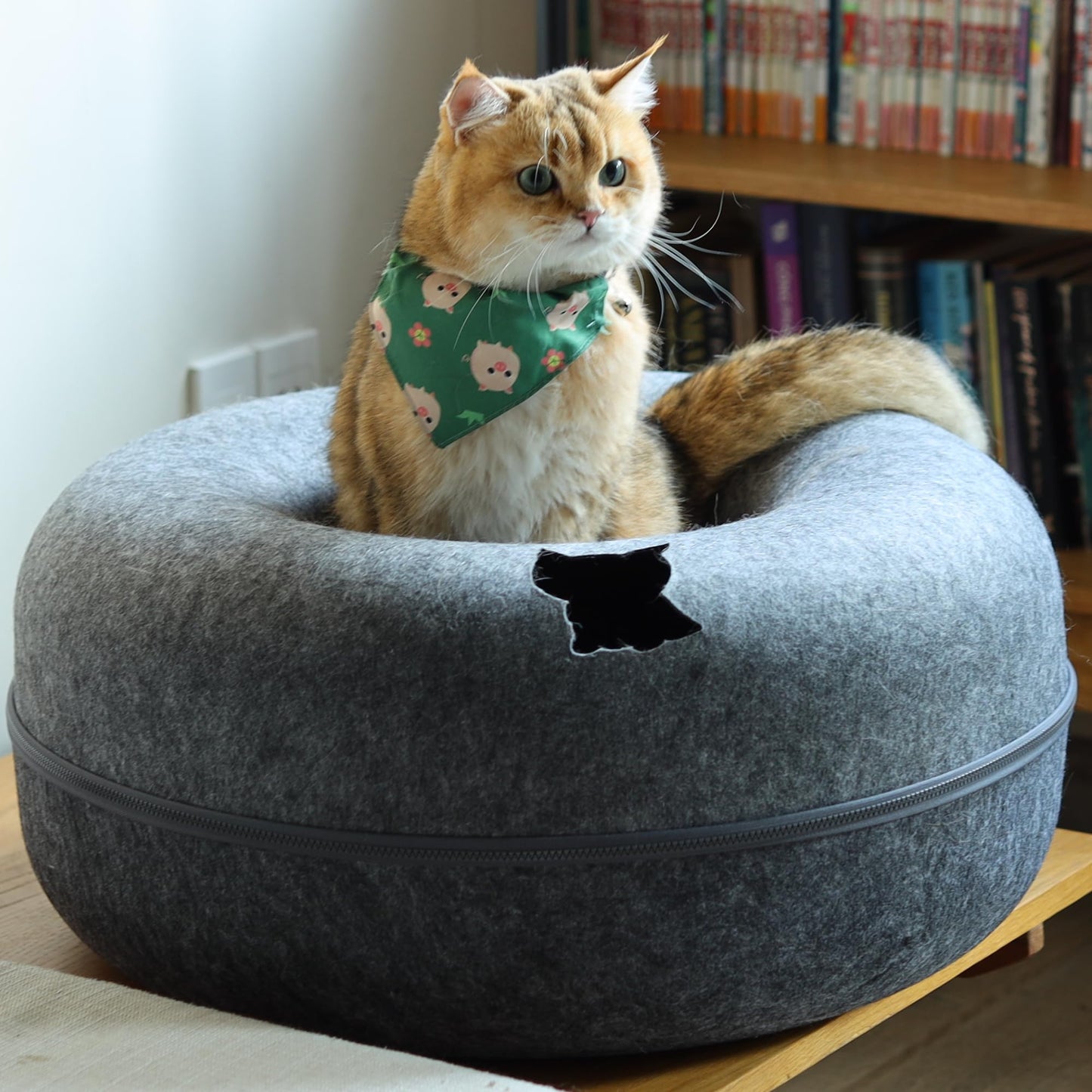 CATTASAURUS Peekaboo Cat Cave for Multiple & Large Cats Up to 30-45 Lbs, Scratch Detachable & Washable Tunnel Bed, Comfy Donut Cat Cave (Light Gray, Large)
