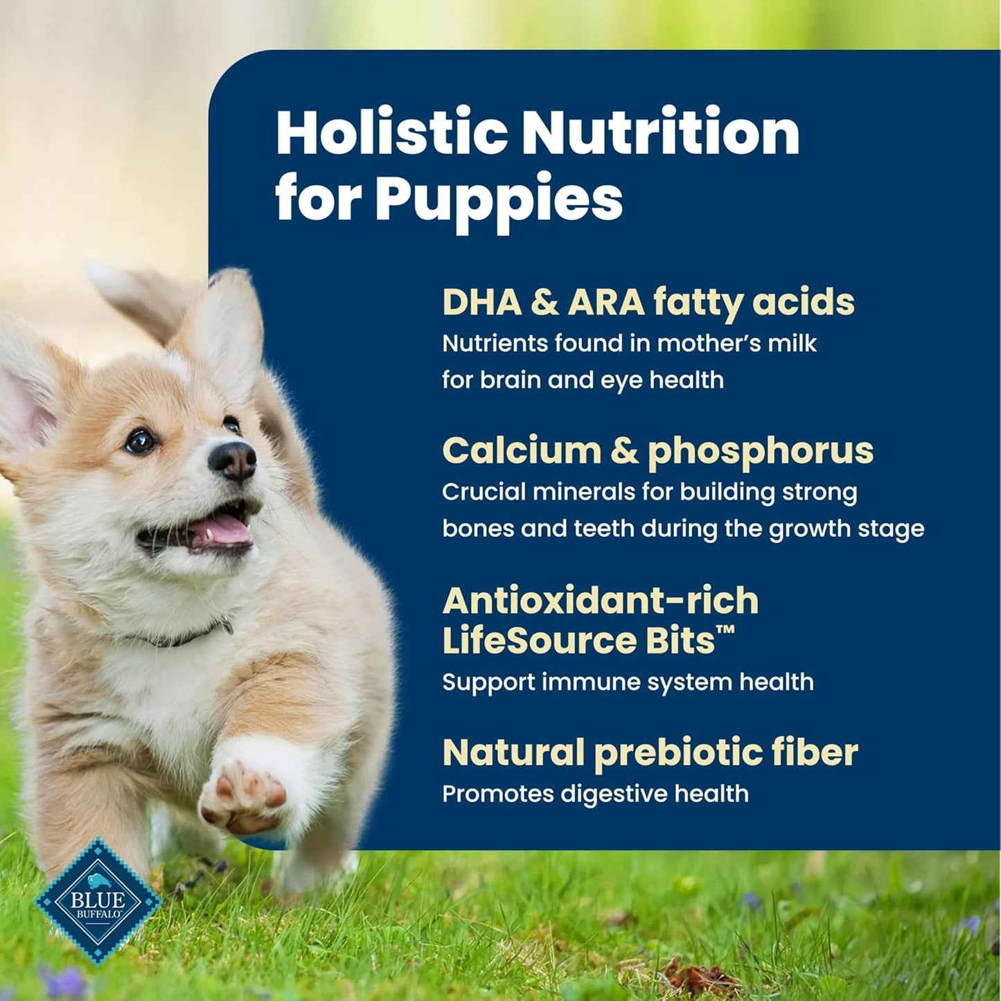 Blue Buffalo Life Protection Formula: A Great Start for Your Puppy