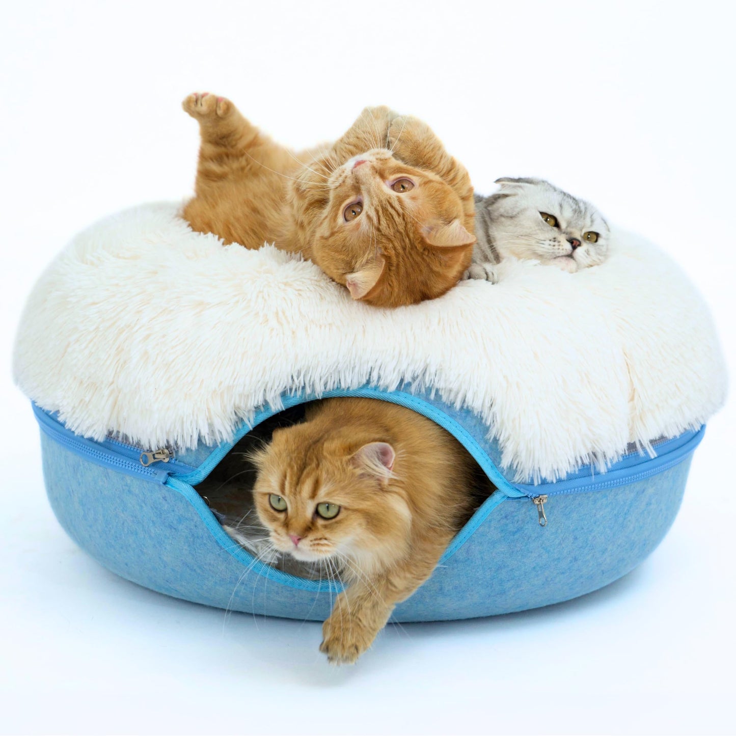 CATTASAURUS Peekaboo Cat Cave for Multiple & Large Cats Up to 30-45 Lbs, Scratch Detachable & Washable Tunnel Bed, Comfy Donut Cat Cave (Light Gray, Large)