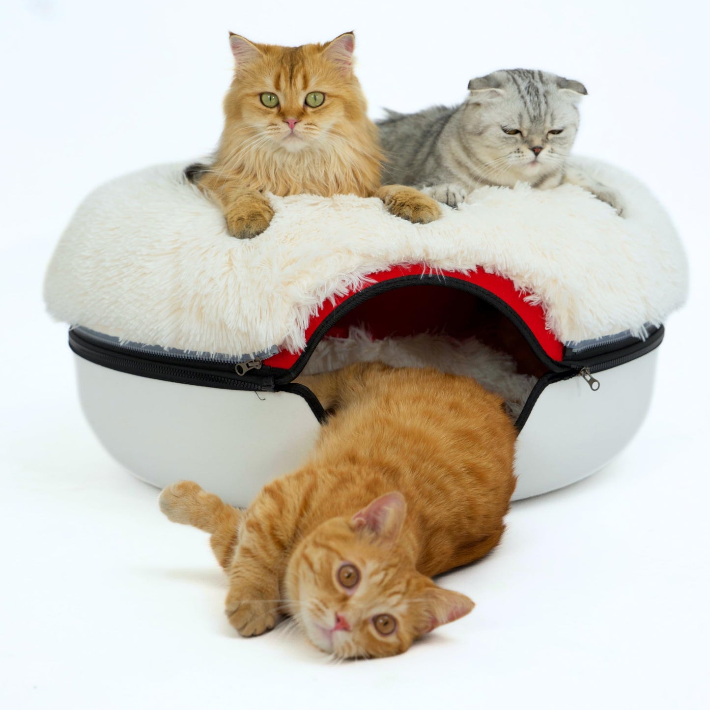 CATTASAURUS Peekaboo Cat Cave for Multiple & Large Cats Up to 30-45 Lbs, Scratch Detachable & Washable Tunnel Bed, Comfy Donut Cat Cave (Light Gray, Large)