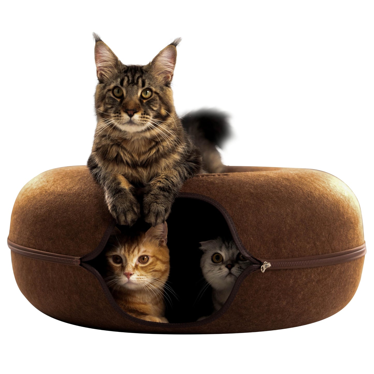 CATTASAURUS Peekaboo Cat Cave for Multiple & Large Cats Up to 30-45 Lbs, Scratch Detachable & Washable Tunnel Bed, Comfy Donut Cat Cave (Light Gray, Large)