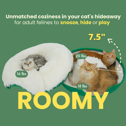 CATTASAURUS Peekaboo Cat Cave for Multiple & Large Cats Up to 30-45 Lbs, Scratch Detachable & Washable Tunnel Bed, Comfy Donut Cat Cave (Light Gray, Large)